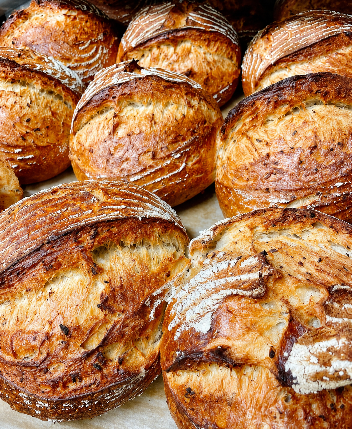 Brood