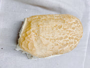 A79c761de IMG 9670